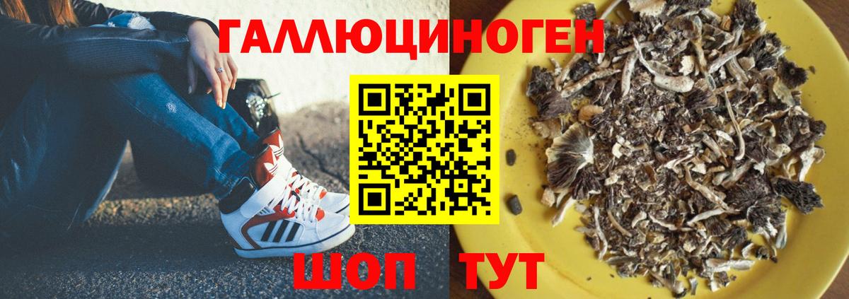 Советская Гавань  Галлюциногенные грибы Cubensis  Вход с VPN 